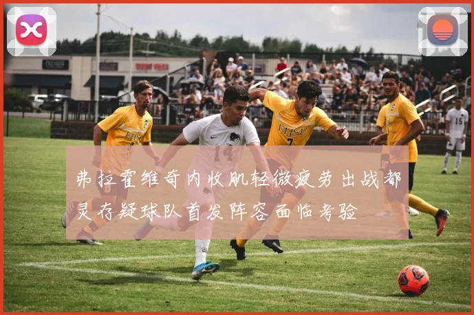 弗拉霍维奇内收肌轻微疲劳出战都灵存疑球队首发阵容面临考验