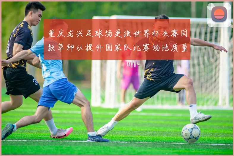 重庆龙兴足球场更换世界杯决赛同款草种以提升国家队比赛场地质量